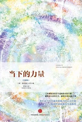 封面:当下的力量(珍藏版)