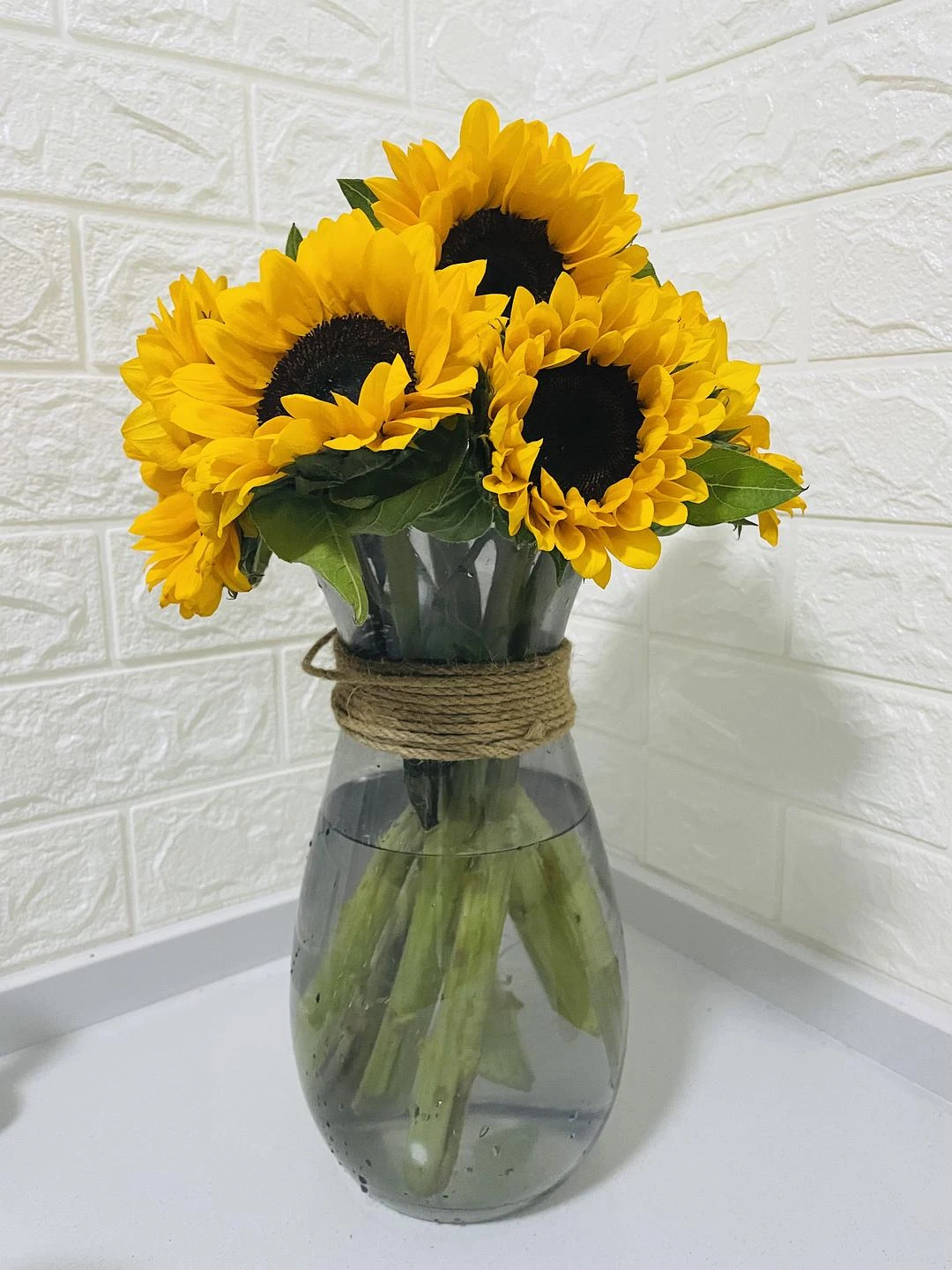 墙角的向日葵🌻 - 图1