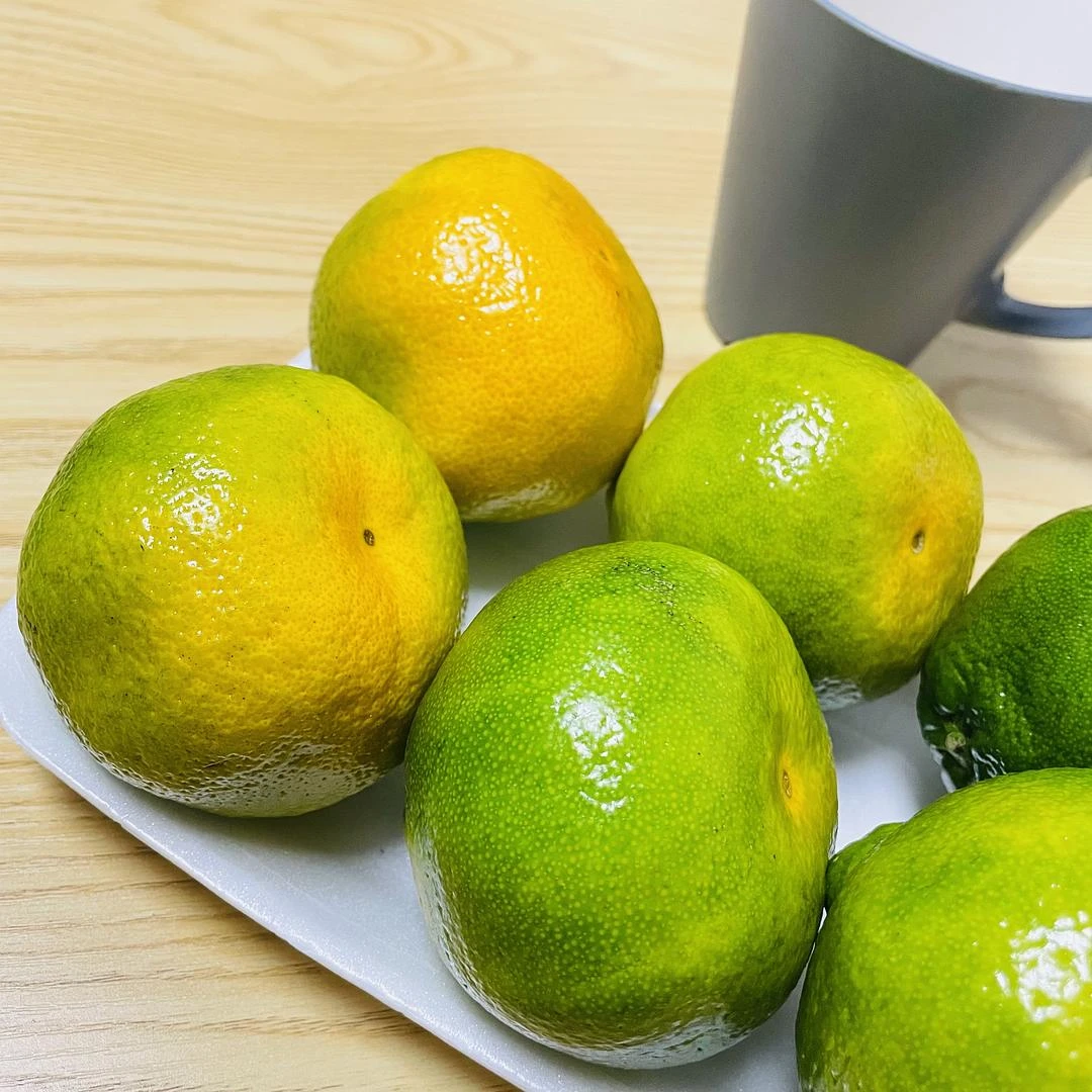 秋天要吃橘子🍊 - 图1