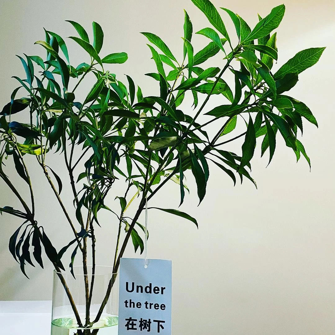 阿西吧！森于菲买的鸭架有毒，我竟然现在都还不困 - 图1
