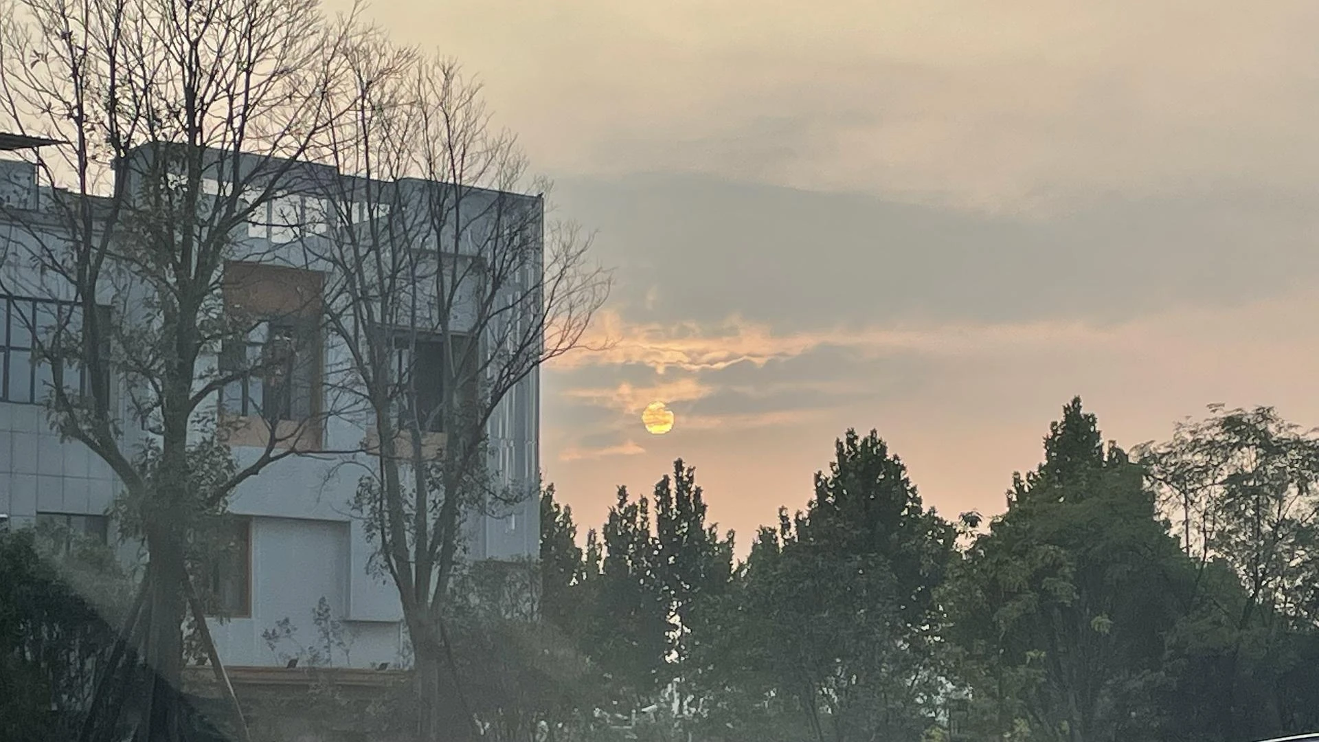 我在想，要是能回到19年该多好🙂 - 图1