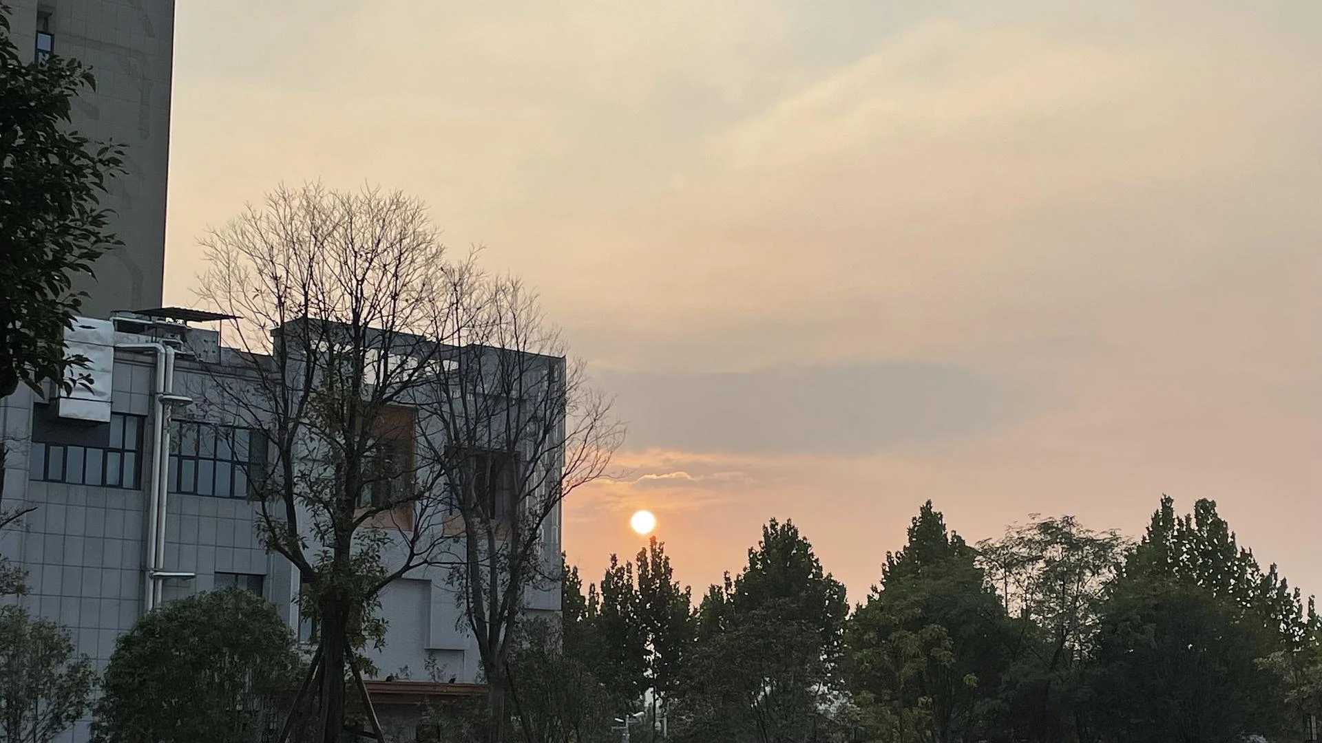 我在想，要是能回到19年该多好🙂 - 图3