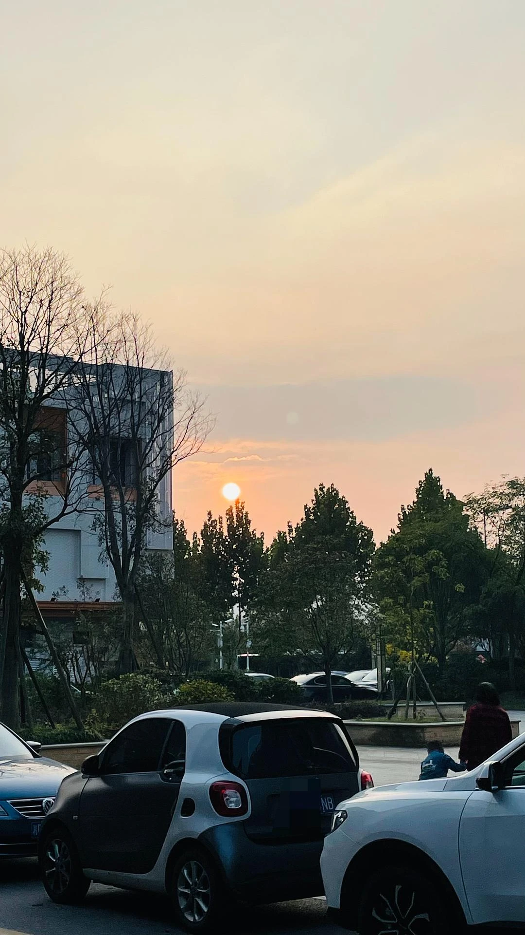 我在想，要是能回到19年该多好🙂 - 图5