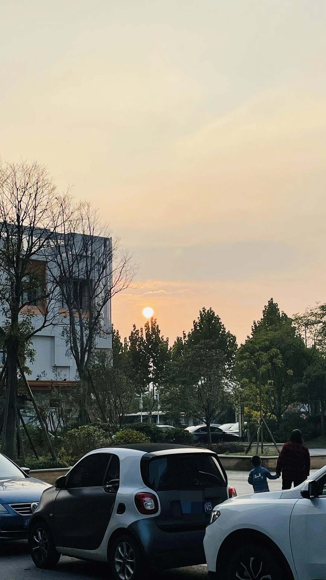 我在想，要是能回到19年该多好🙂 - 图6