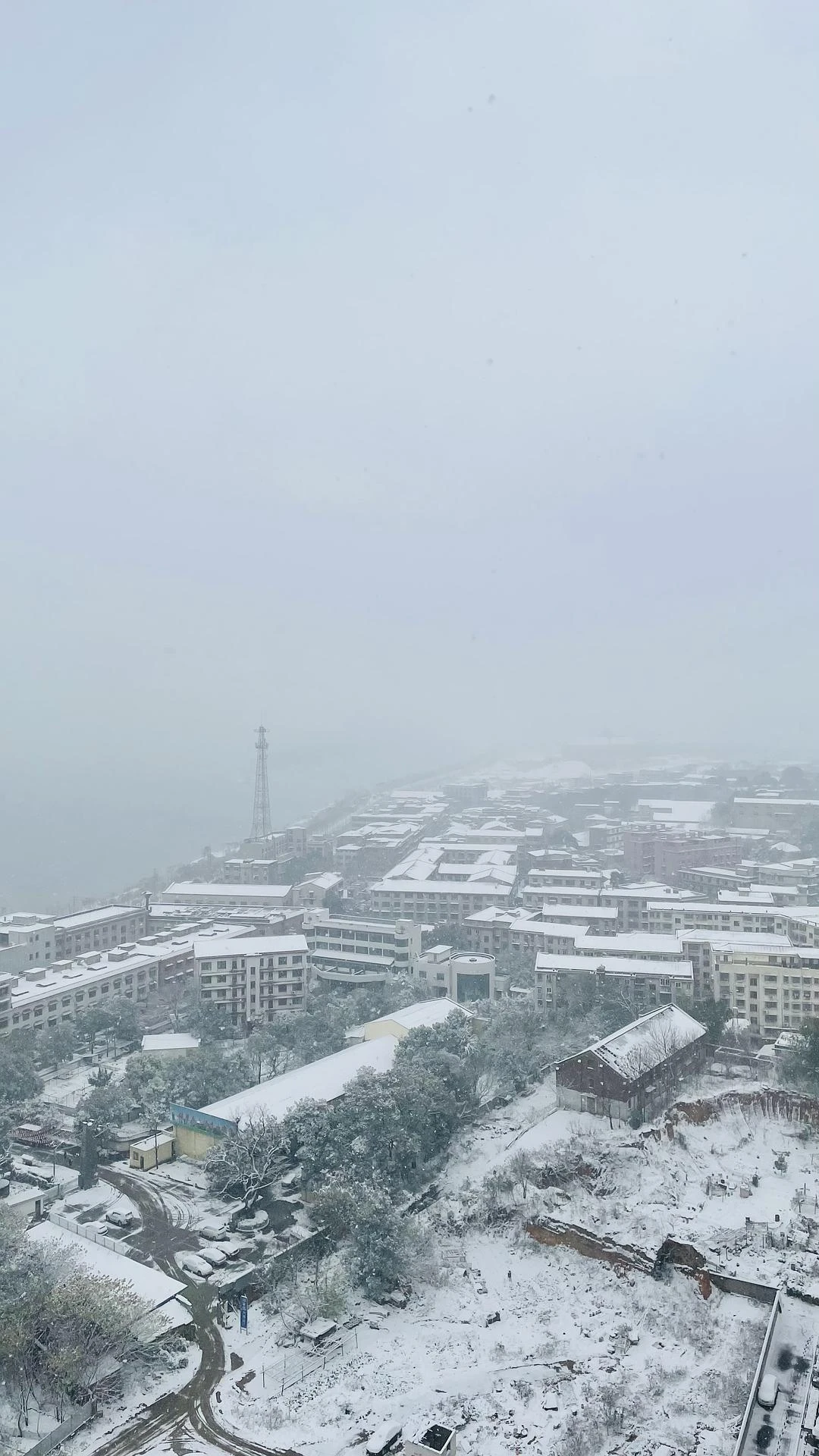 2021年第一场雪 - 图1