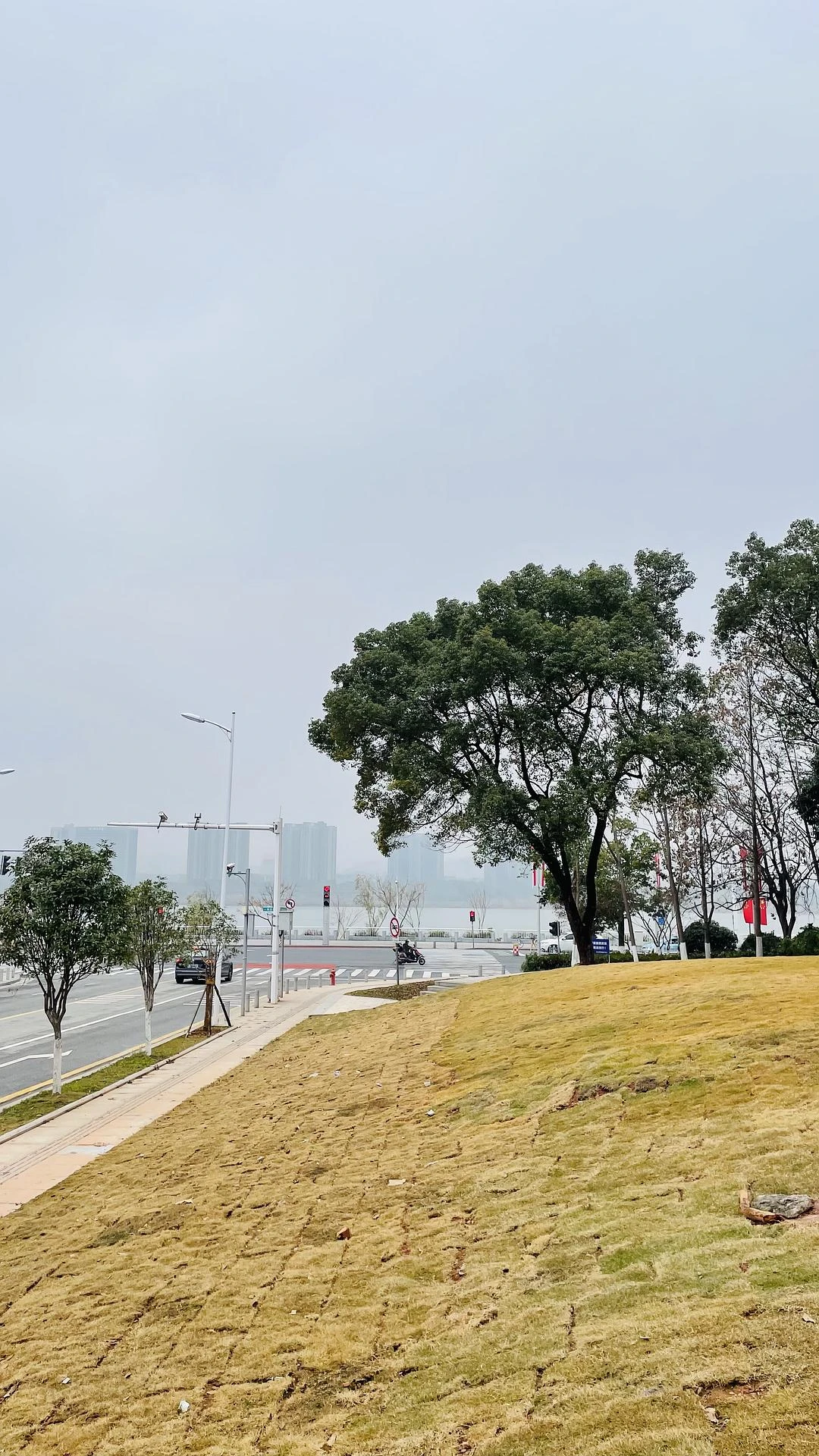 吃个饭，看个展，一顿瞎拍 📷 - 图8