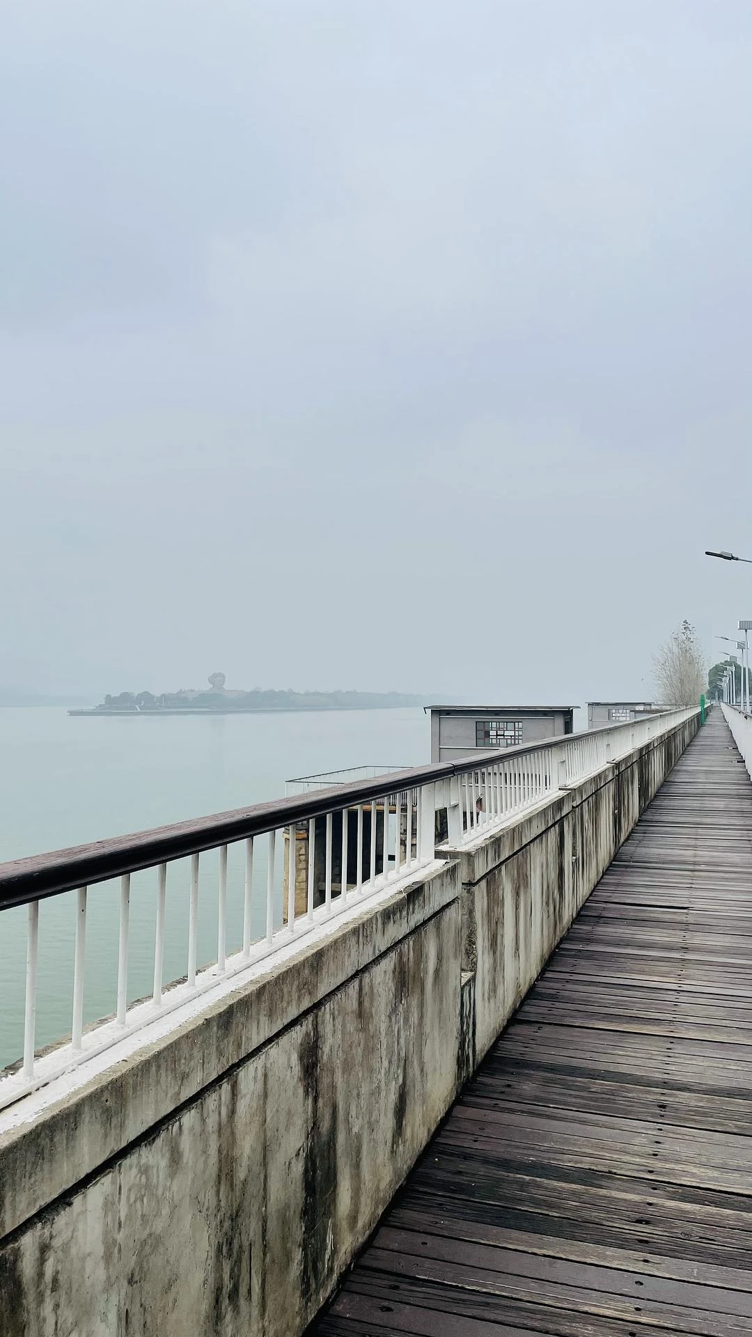 吃个饭，看个展，一顿瞎拍 📷 - 图9