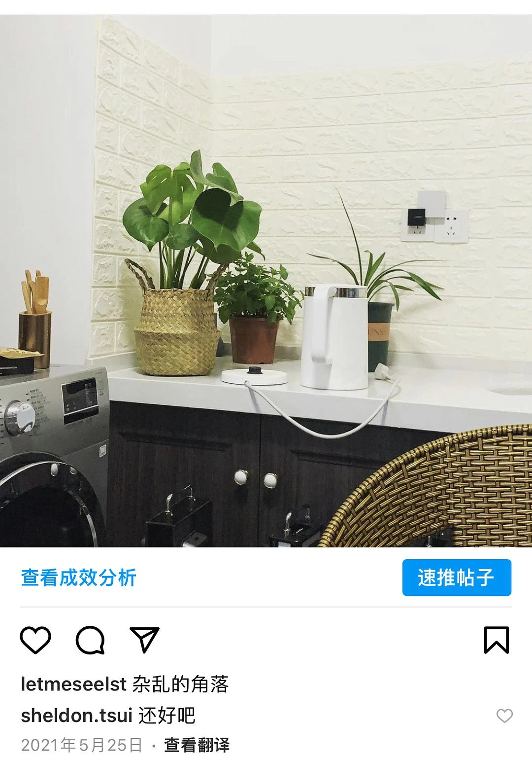 今天立春，终于有一颗植物被我成功养活，恭喜你顺利 - 图1