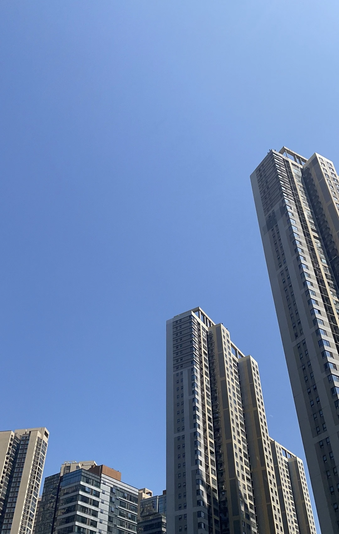 上午被马仔的愚蠢给气到了，中午吃了个好吃的白切鸡 - 图1