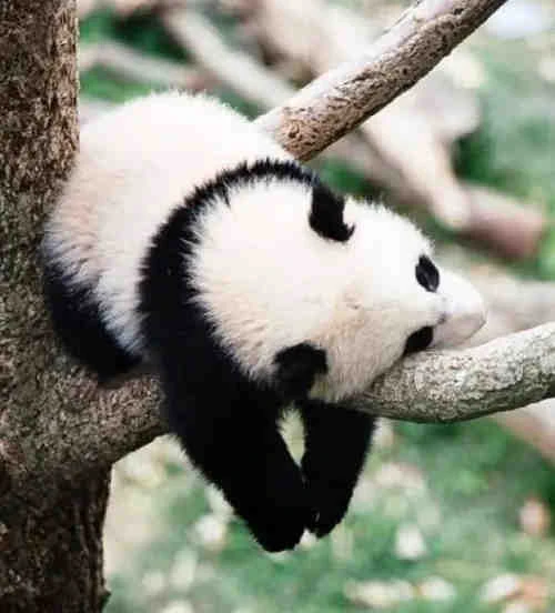 #
安慰文学集合
#
不上班不一定是什么坏事。没 - 图1