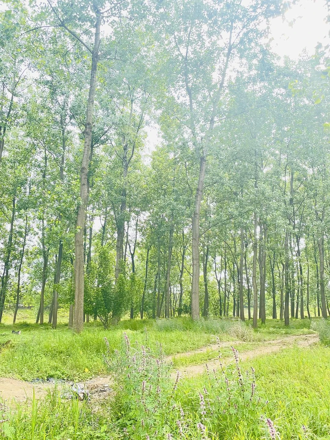 周六碎片🧩 - 图1