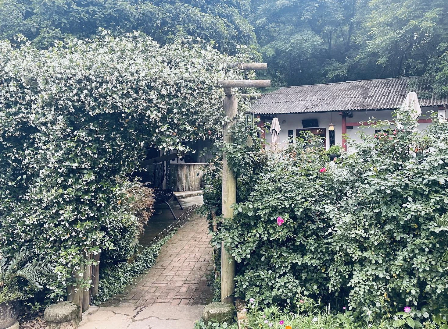 周六碎片🧩 - 图6
