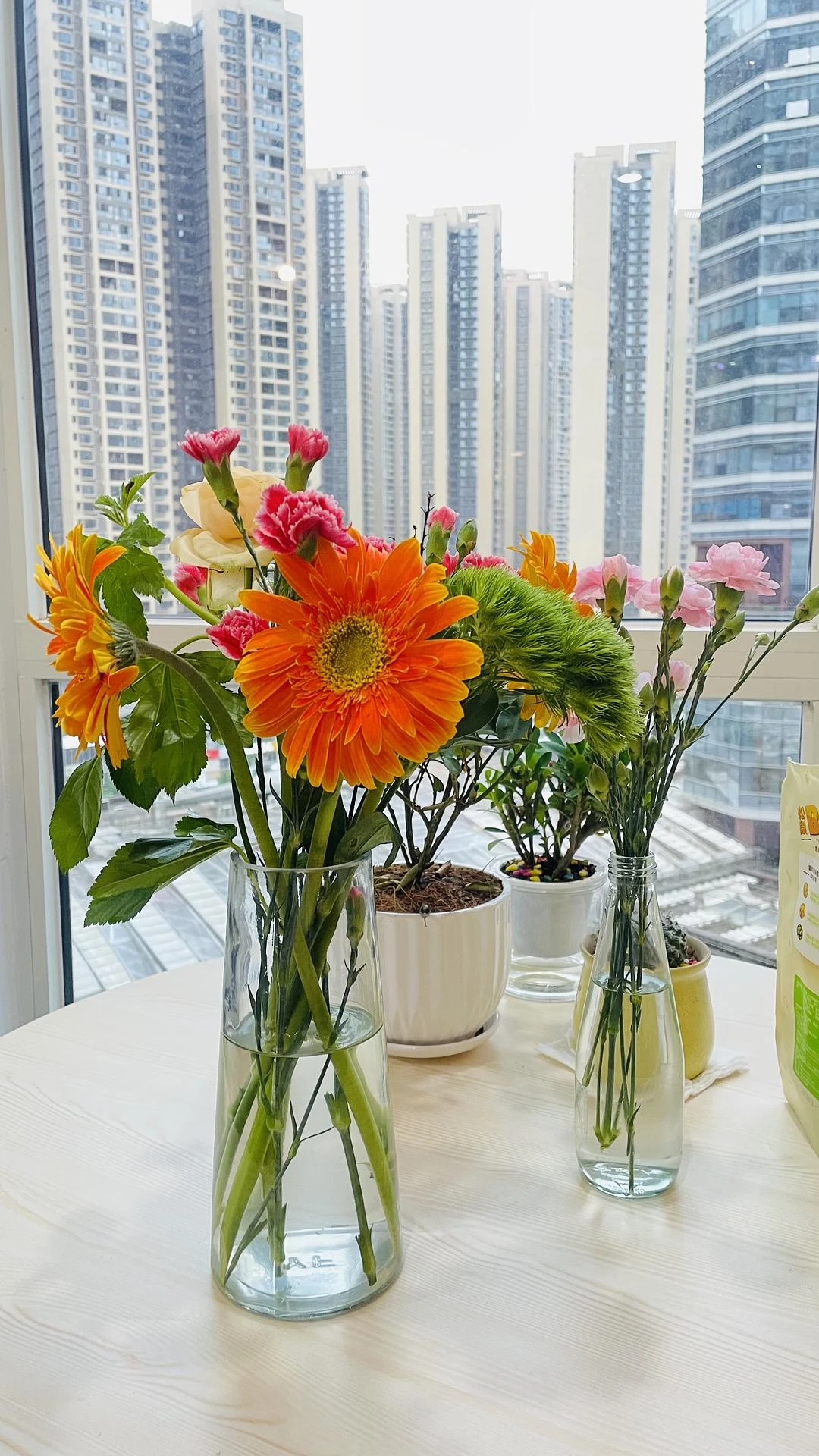 今日份鲜花 - 图1
