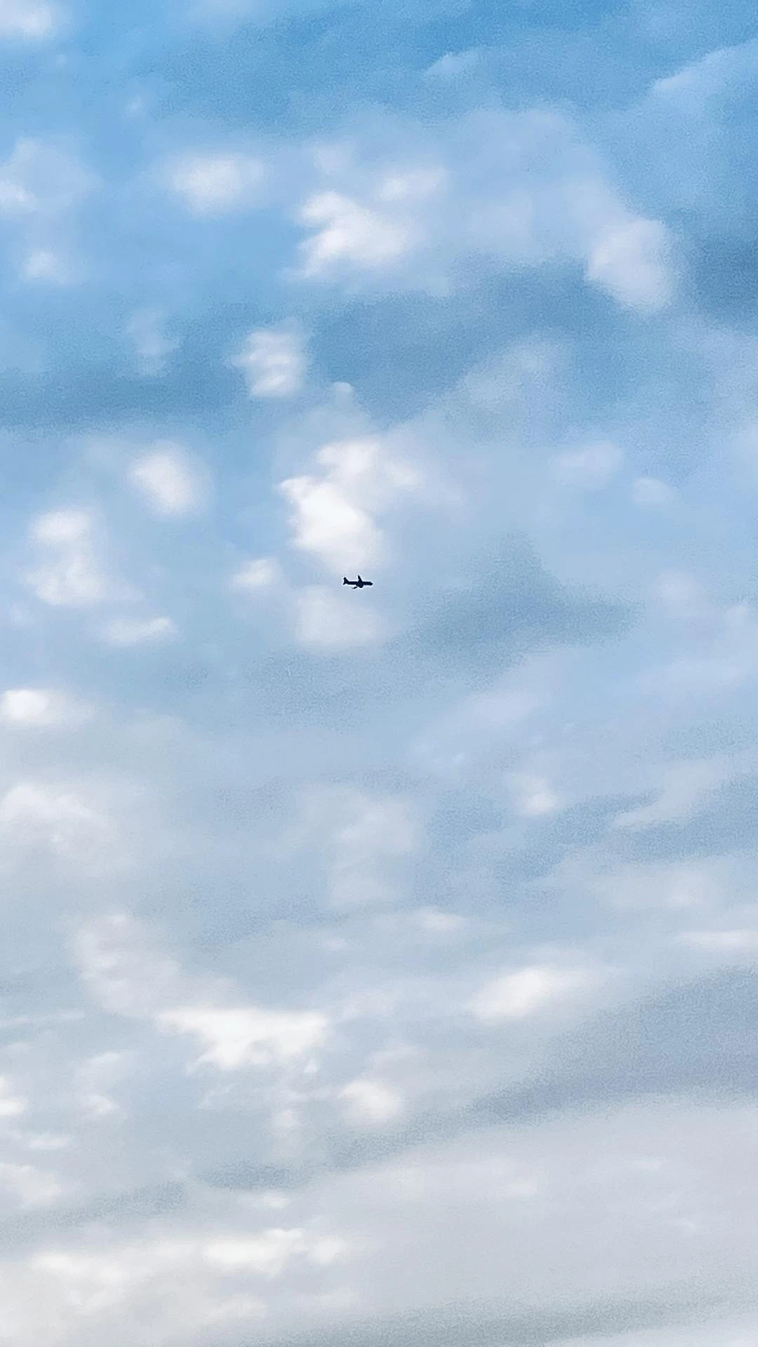 那架飞机像不像是一个人在天空翱翔 - 图1