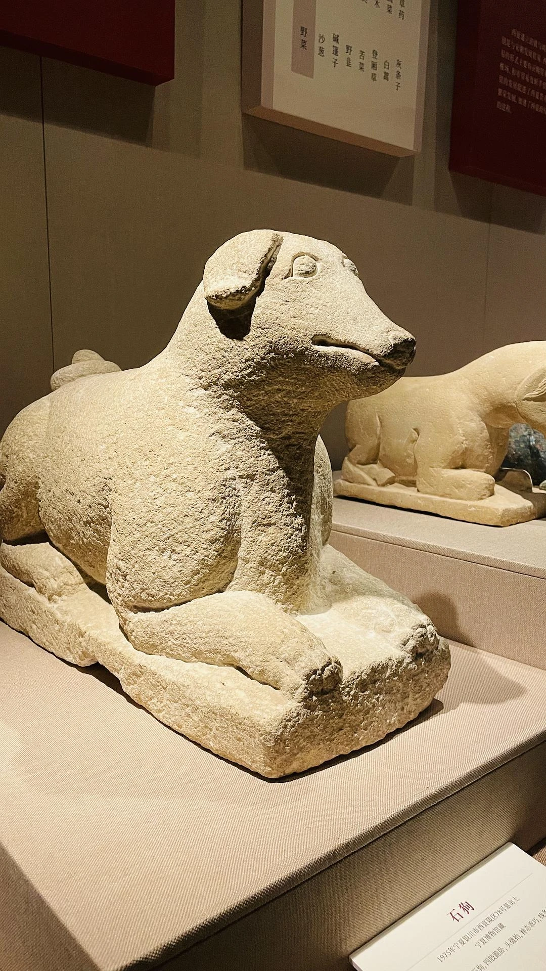 这次市博的西夏文物展，有多件展品19年我在澳门博 - 图3