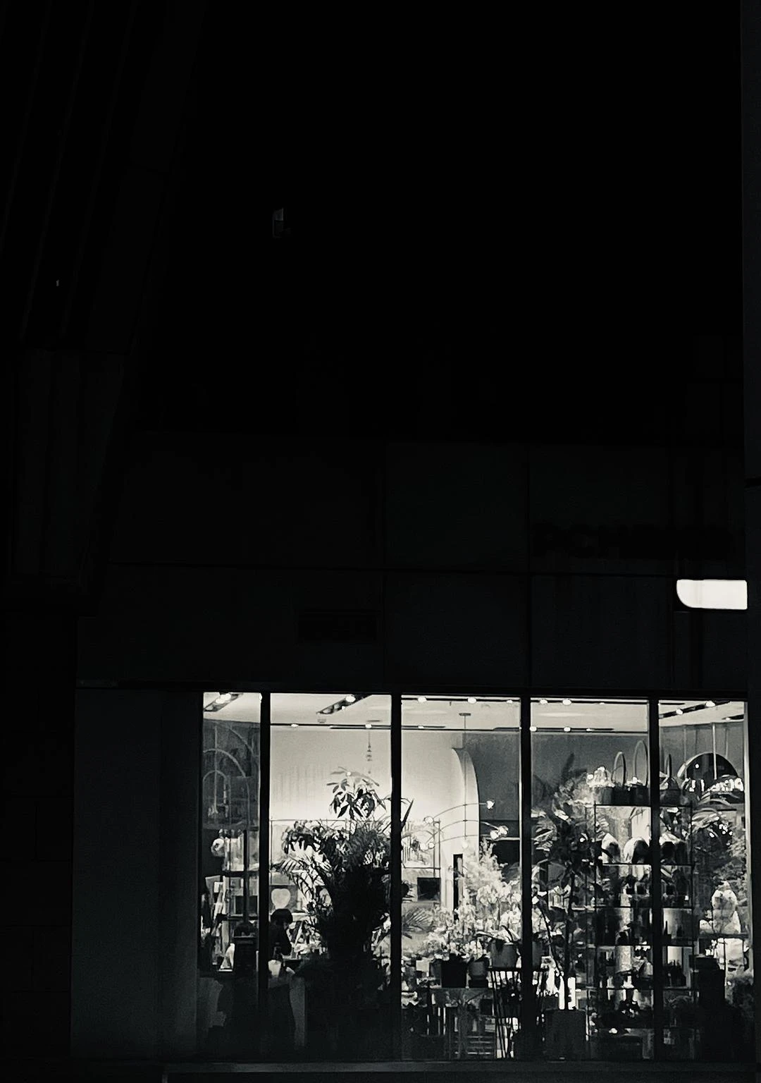 黑夜中的花店 - 图1