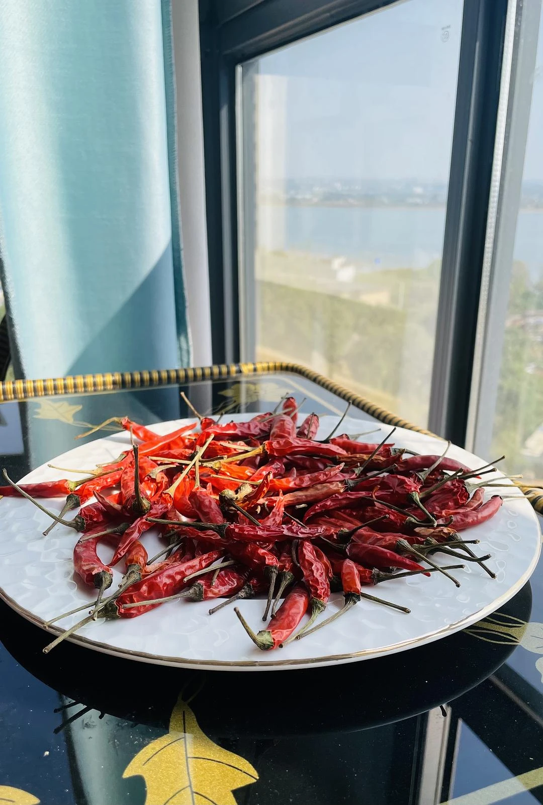 和辣椒🌶️一起晒太阳🌞的午后 - 图1