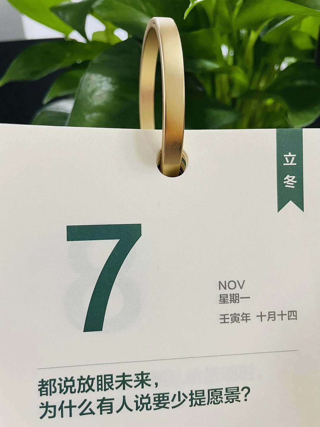 立冬吃饺子🥟 - 图1