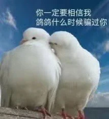 我的2021好像过得不算太糟 - 图4
