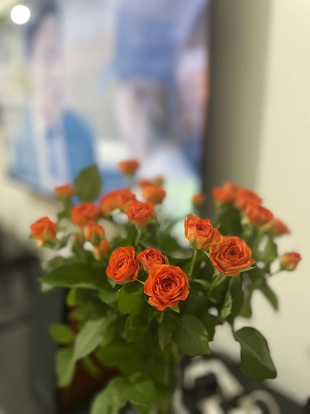 今年第一束鲜花 - 图1