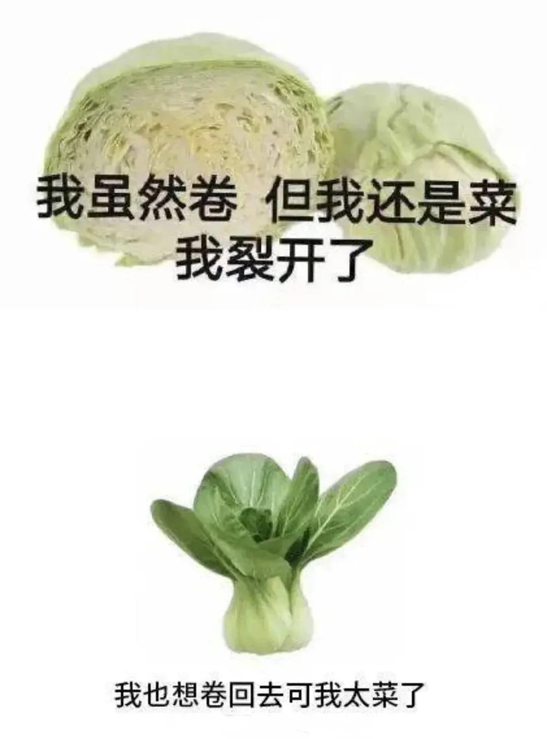 折腾了一下午，终于把内容自动生产➕内容自动发送搞 - 图1