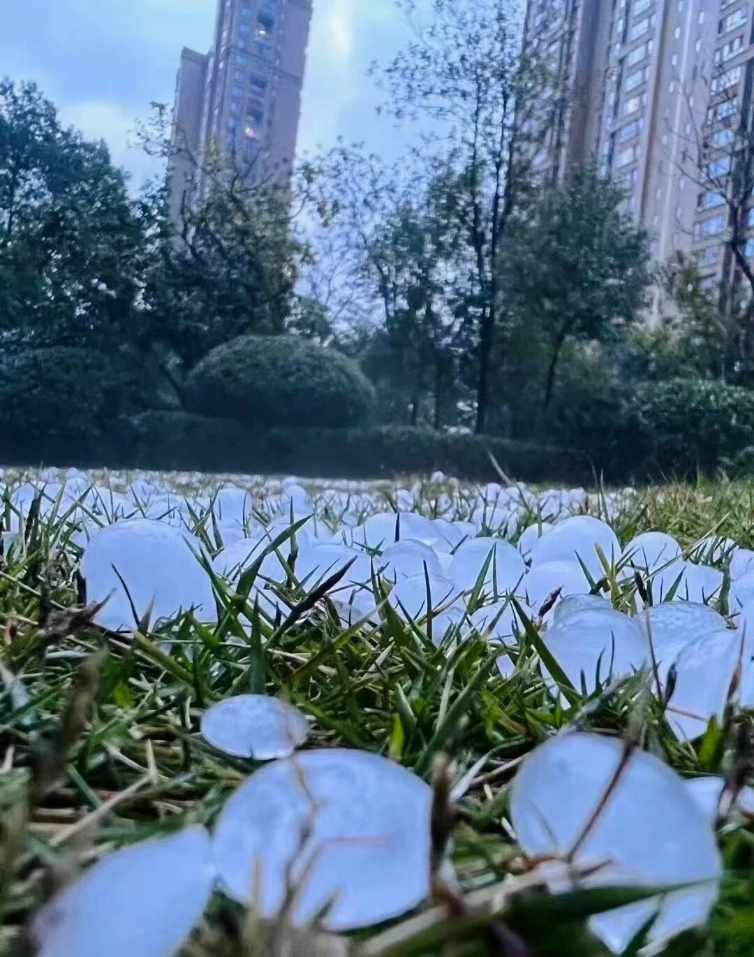 下这么大一粒的冰雹还要去上班，确实挺辛苦，我要争 - 图1