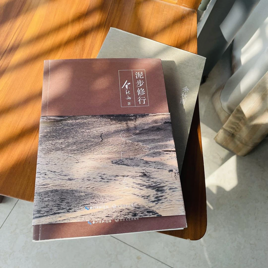 在阳台上晒着太阳看书，看了一会儿觉着坐在人体工学 - 图1