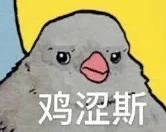 正在被长沙的天气魔法攻击
冷风灌满了整个房子
后 - 图1