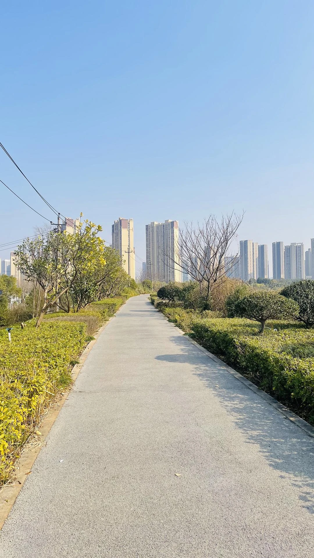 这样的天气散步真惬意
有微风有暖阳有车流白噪音 - 图1