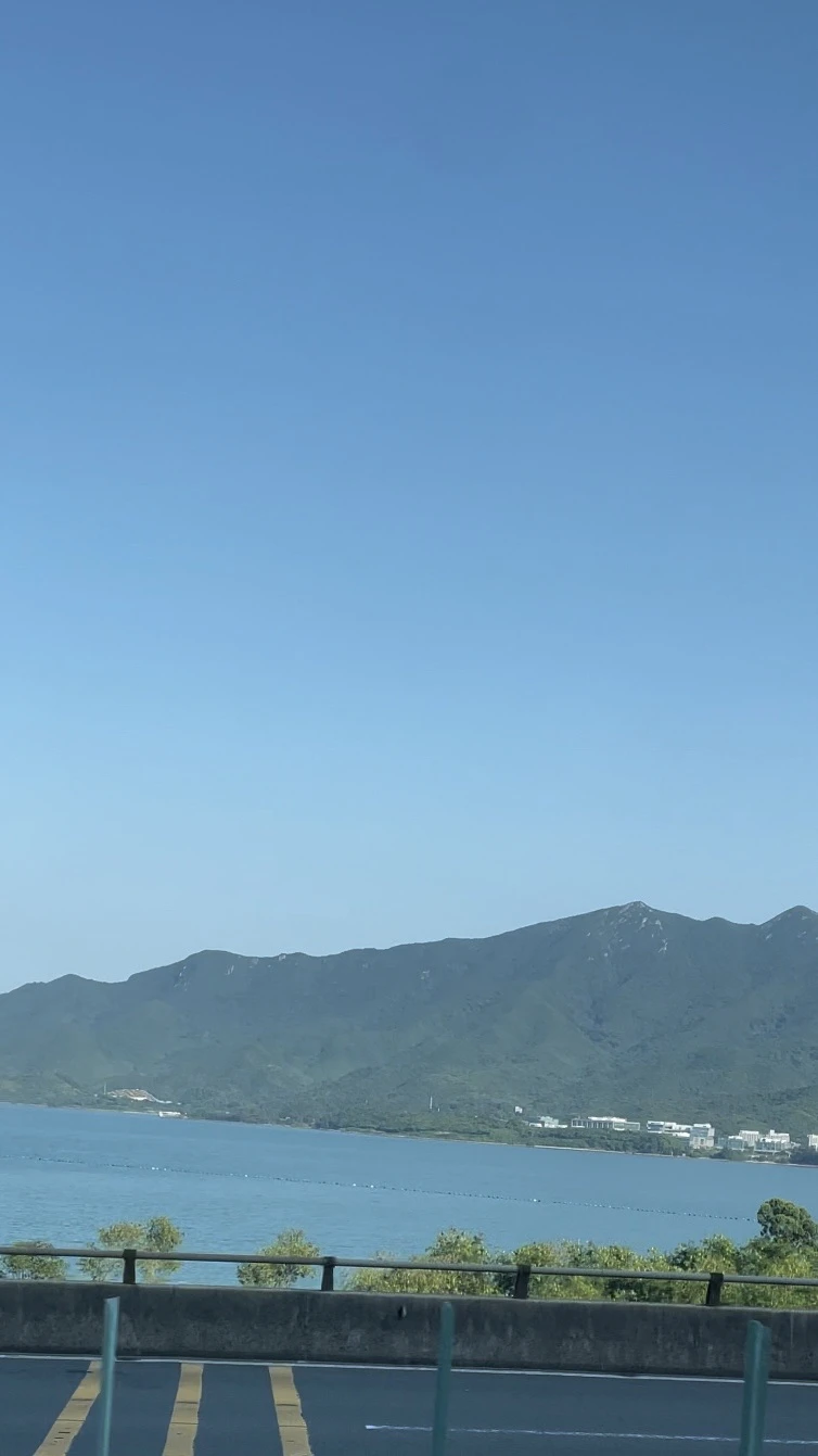 惠深沿海高速是美的 - 图2