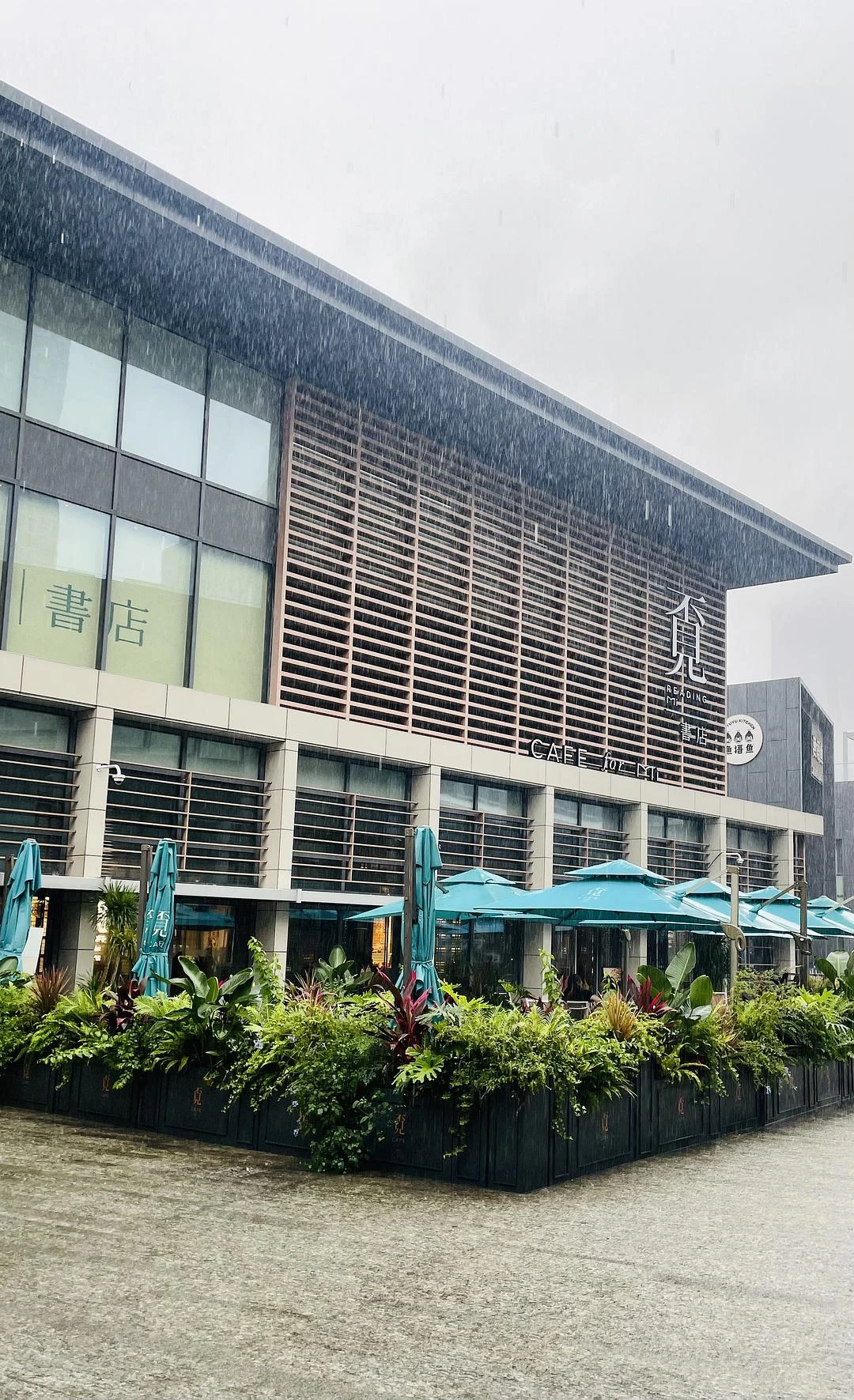 深圳的雨是停不下来了 - 图1