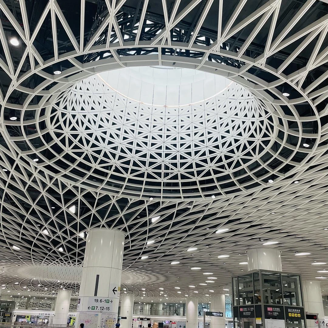 深圳的地铁站都这么美
#
乡里别进城
#
#
深 - 图1