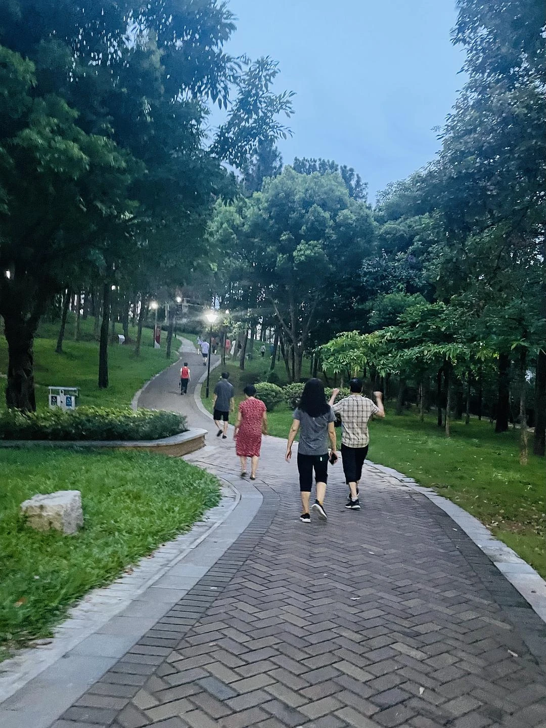 饭后百步走🚶
跟着嗲嗲娭毑们逛公园
 #
我的 - 图1