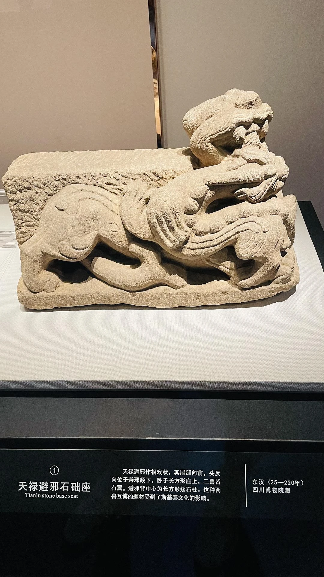 来成都只看了川博，本来还想去三星堆的，天天下雨， - 图5