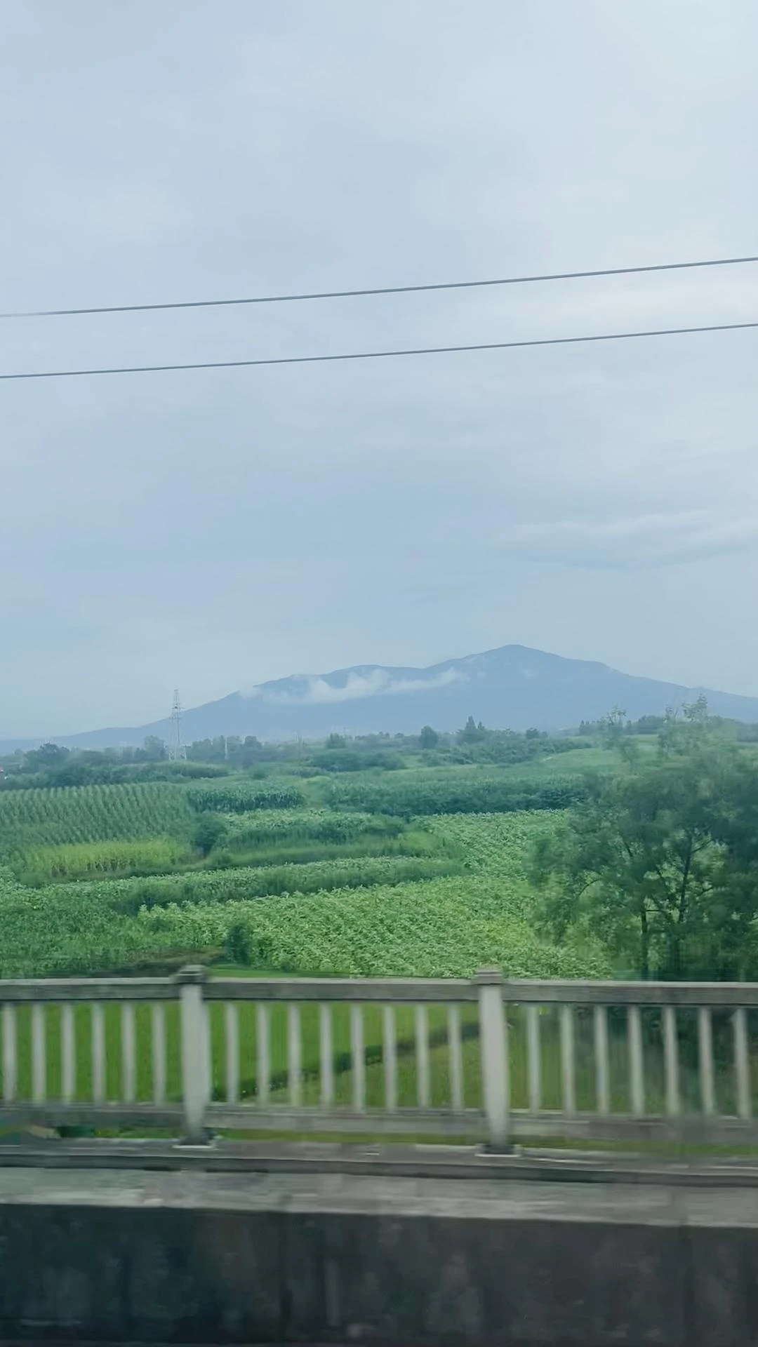 等我结束这趟流浪之旅，回到家我一定要换掉垃圾电信 - 图1