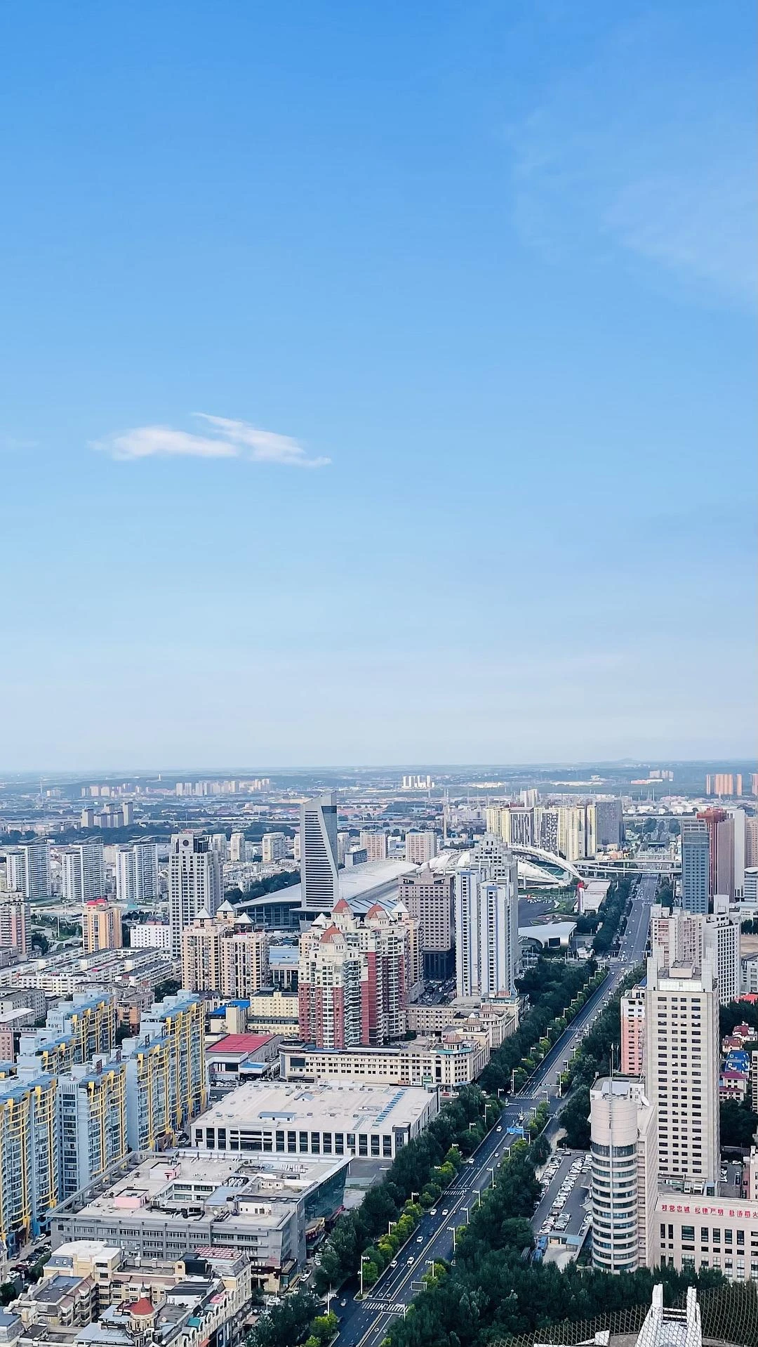 冰城天际线🏙️ - 图4
