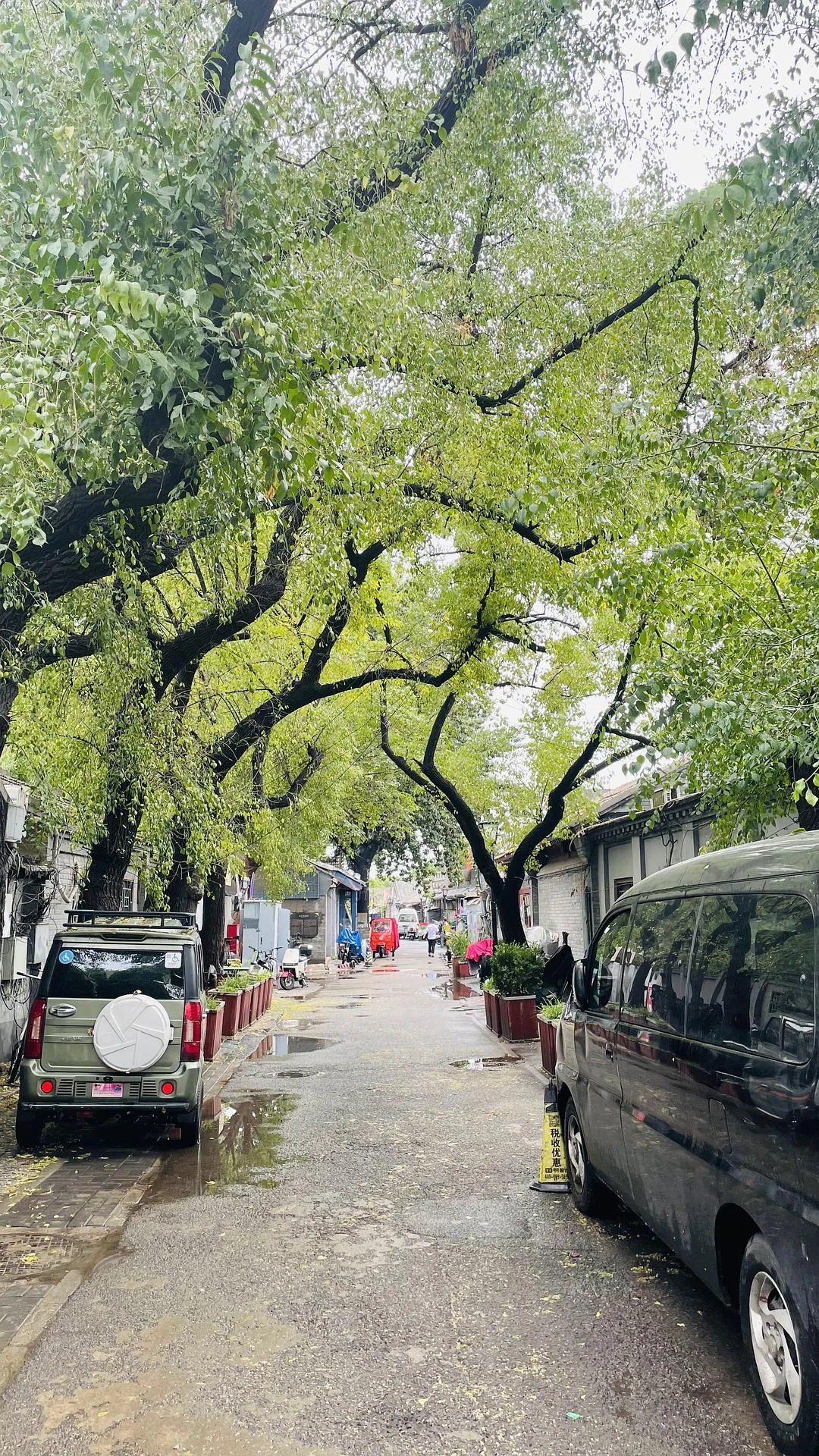 我好喜欢拍树下的道路
这是什么毛病 - 图3