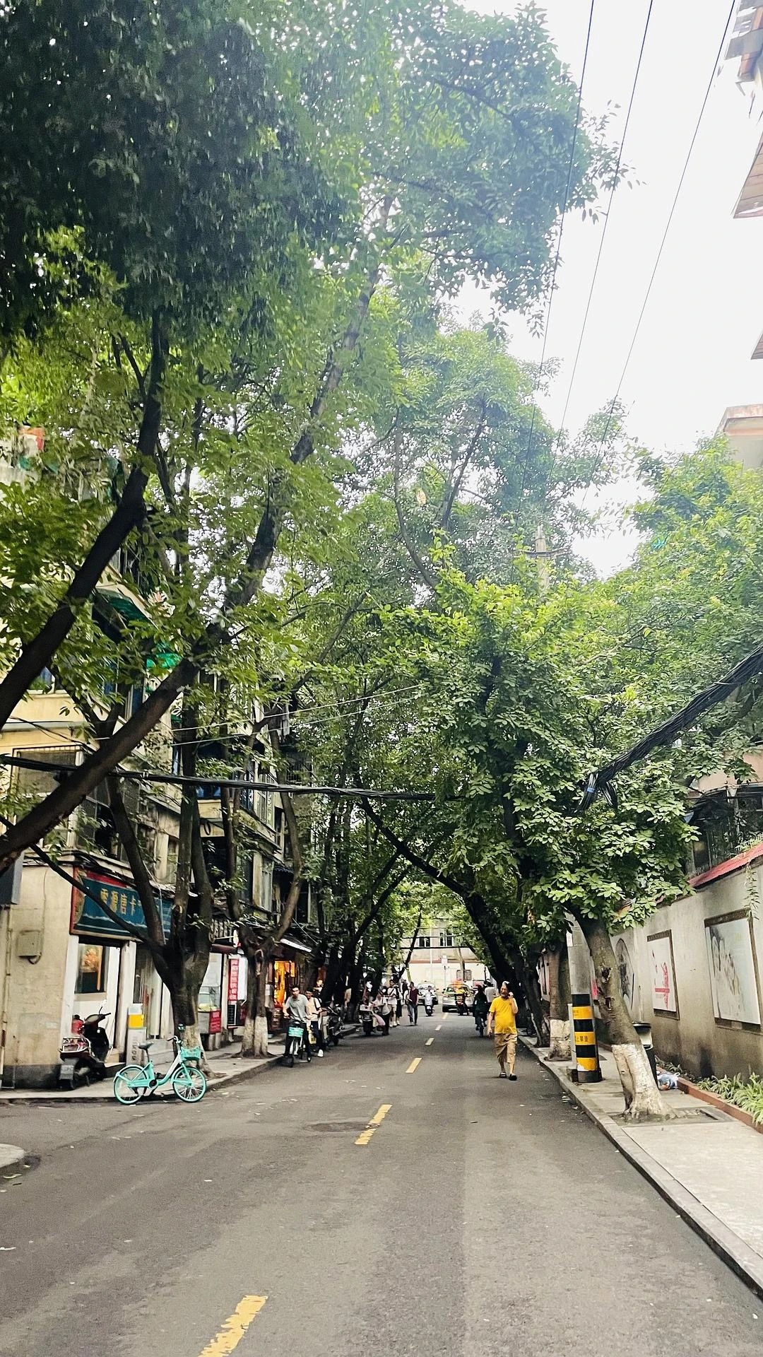 我好喜欢拍树下的道路
这是什么毛病 - 图6