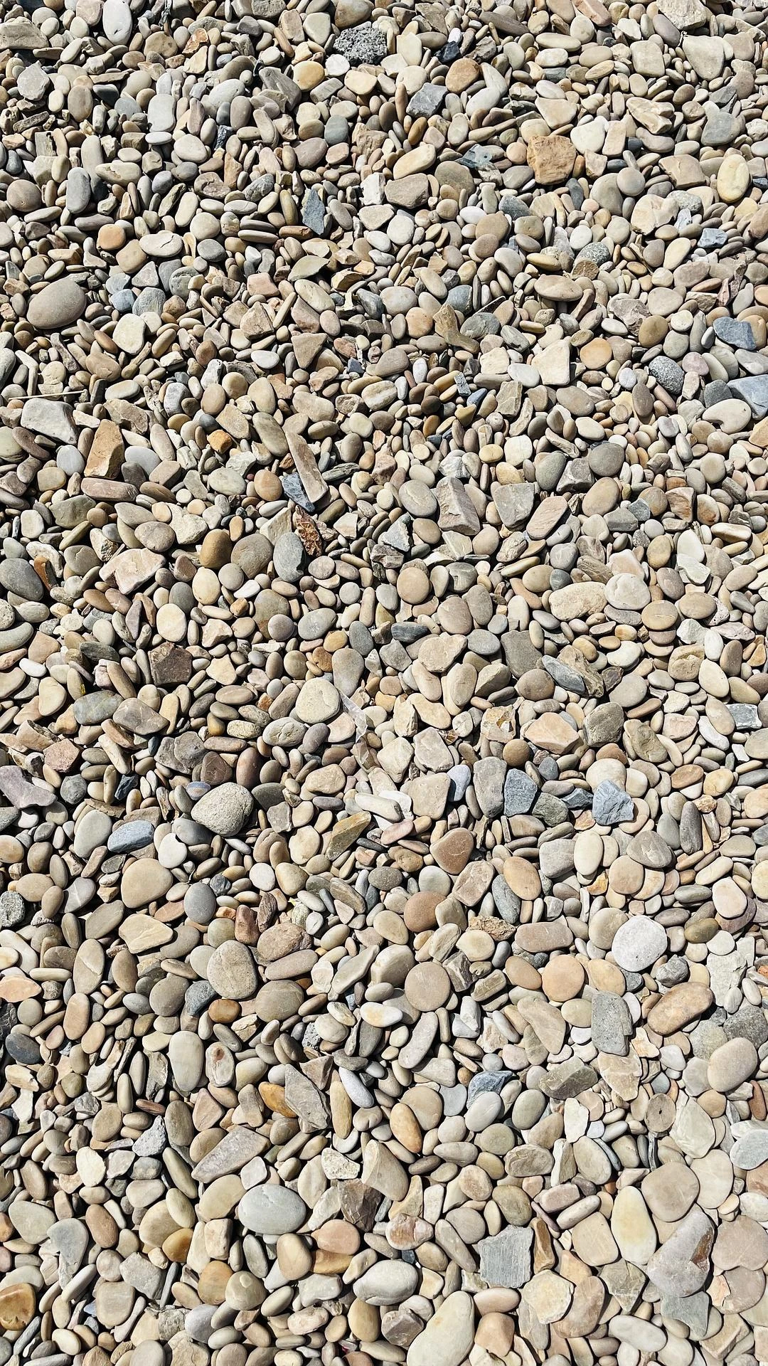 城里的天空有点阴沉
🏝️海边的天空倒是很蓝 - 图4