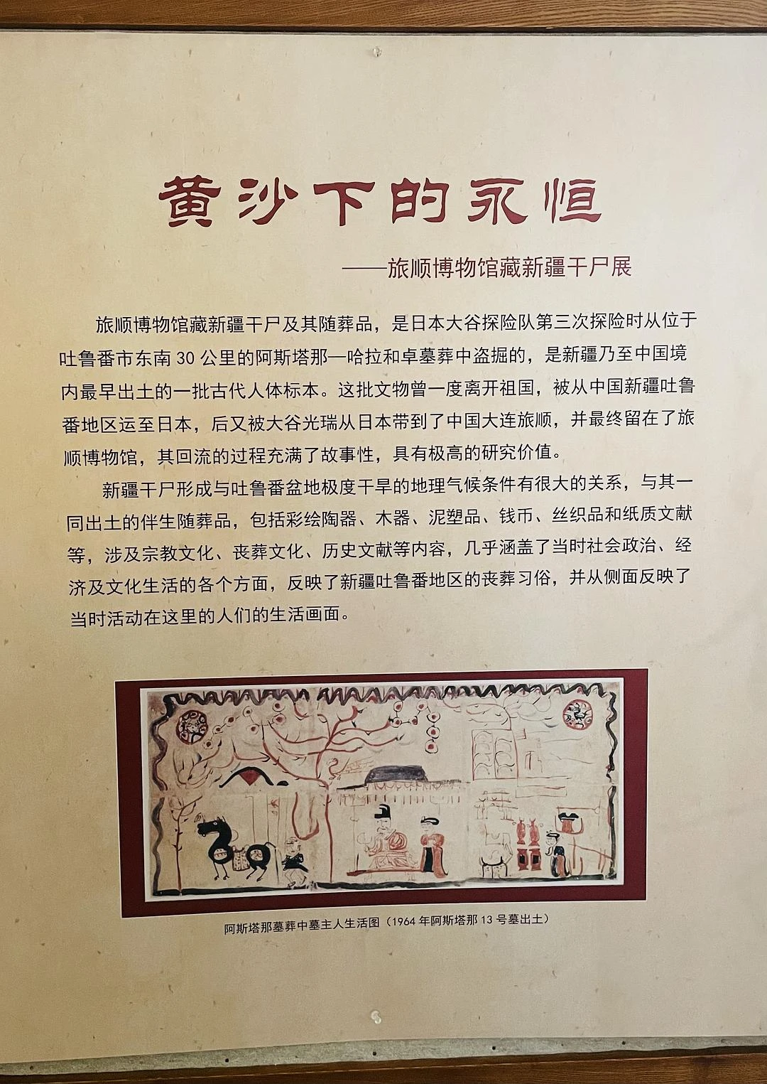 旅顺博物馆的木乃伊有点吓人
不让拍照 - 图1