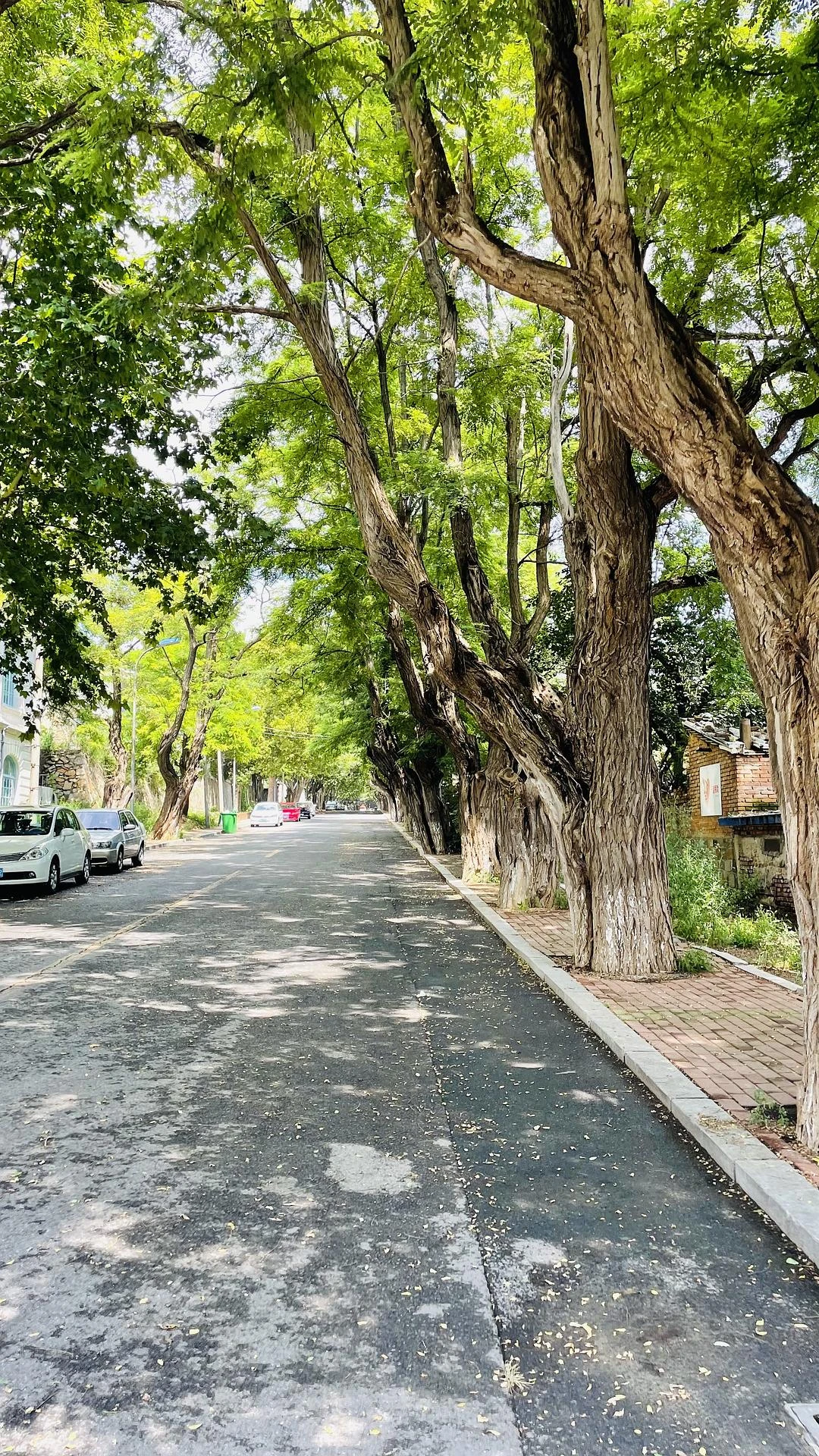 街溜子在旅顺的第二次溜达🚶 - 图6