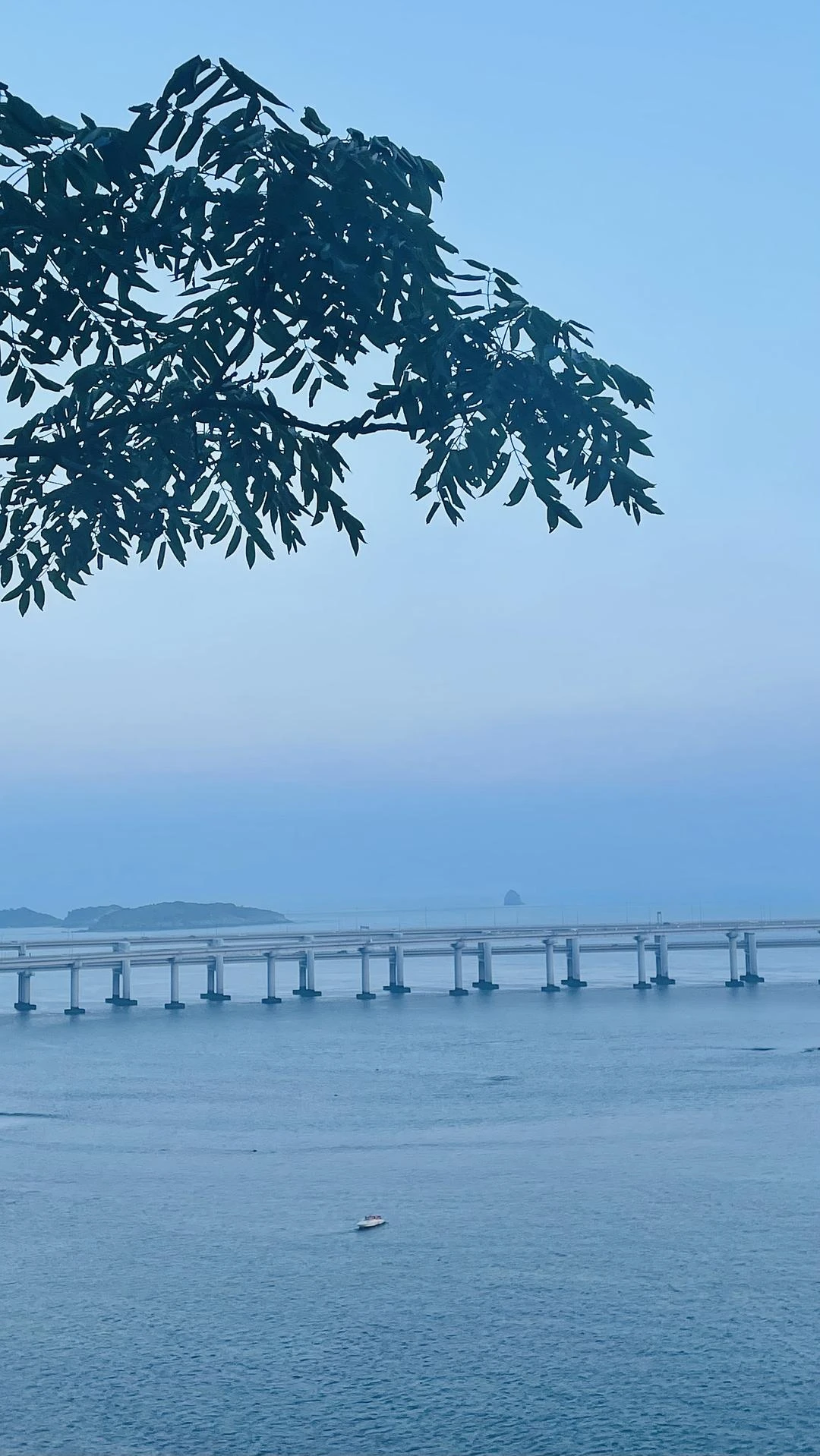 站在海边，感受着海风轻拂脸 - 图3