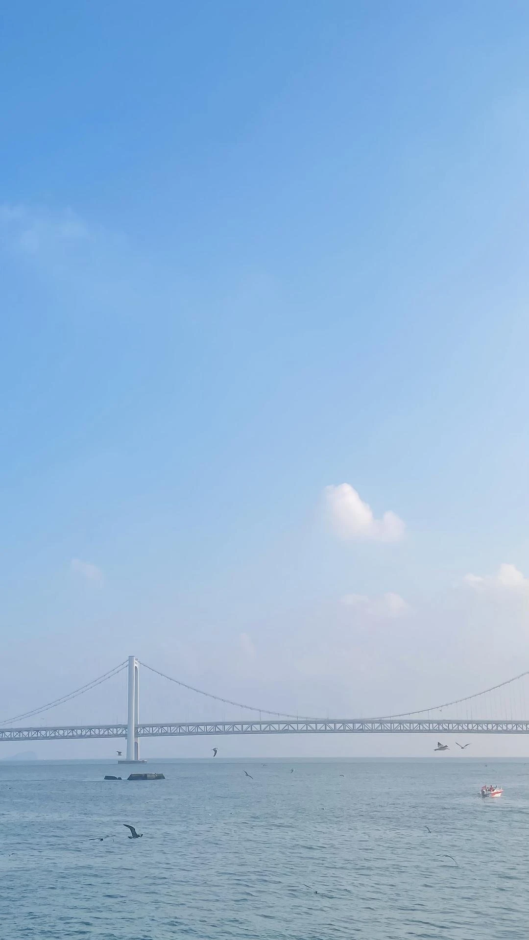 站在海边，感受着海风轻拂脸 - 图4