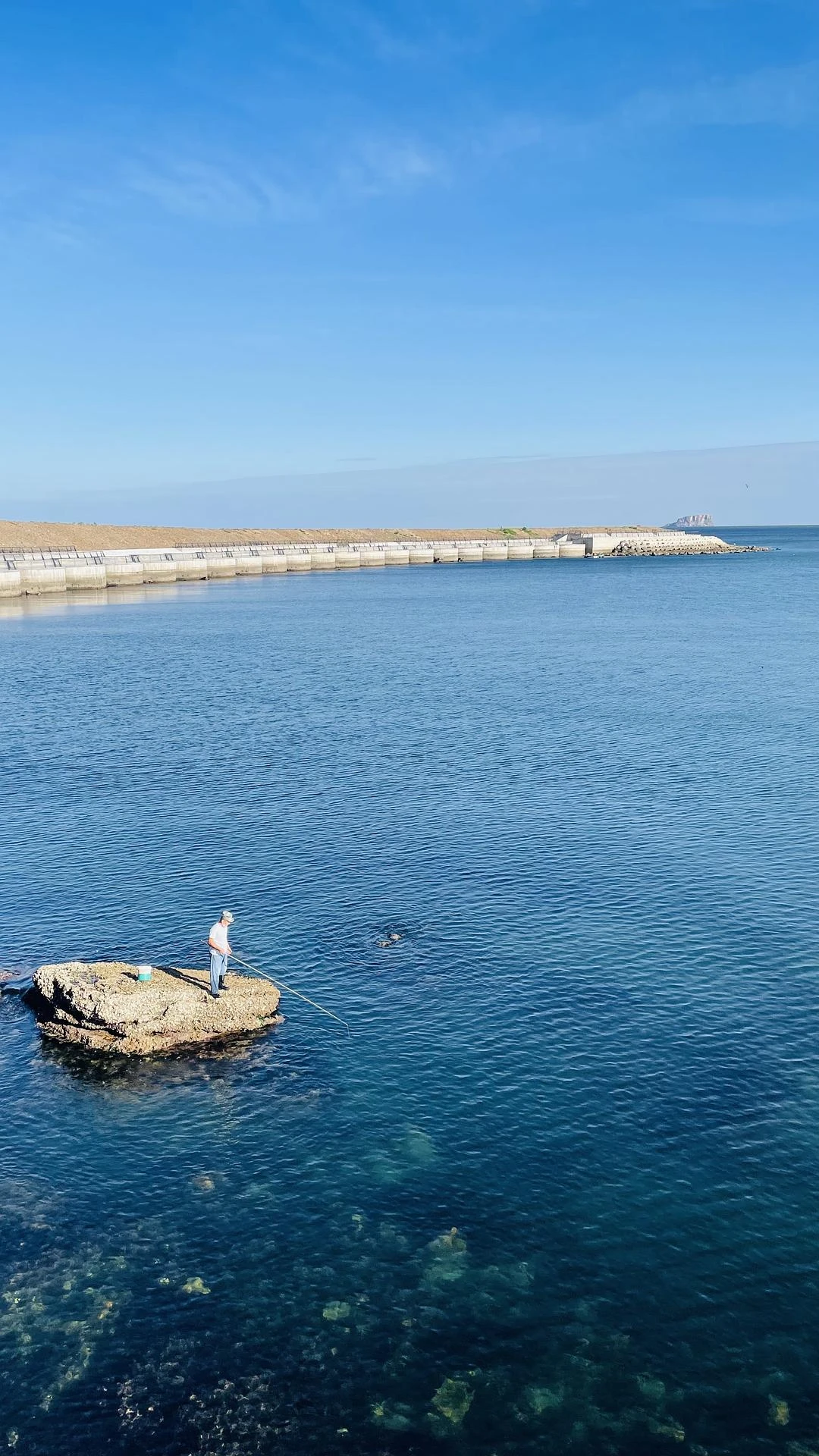 钓鱼、赶海、浮潜 - 图3