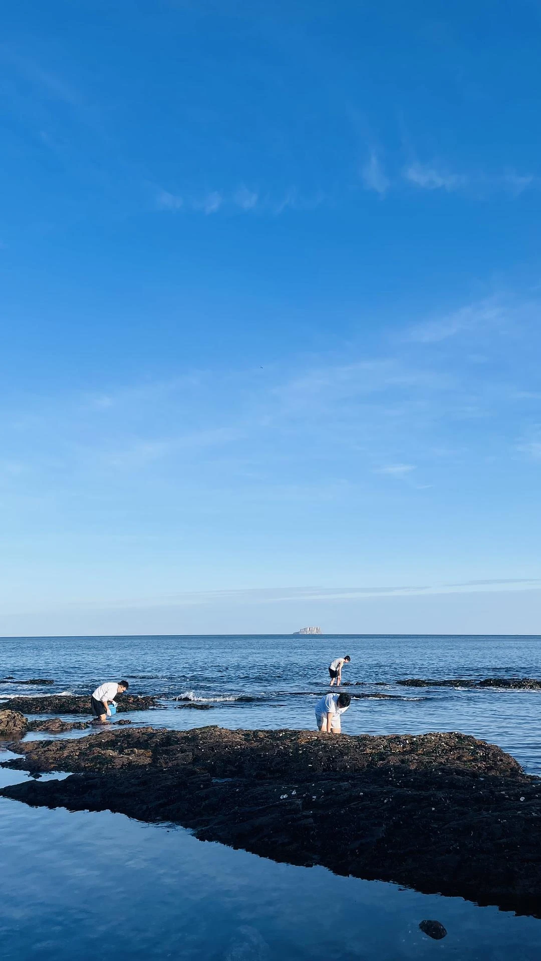 钓鱼、赶海、浮潜 - 图4