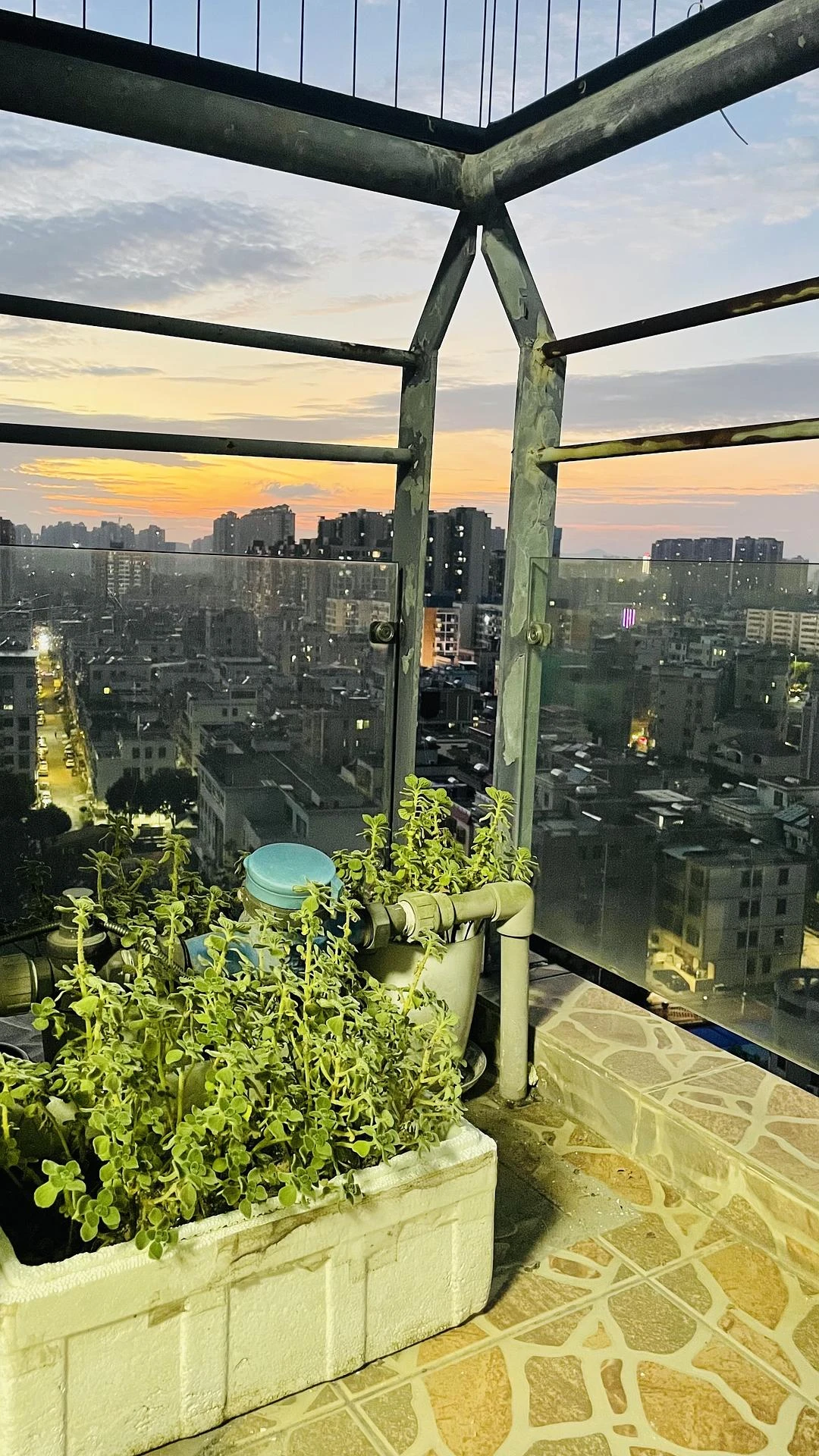 这个角落养点花花草草应该不错，让我又想在闲暇之余 - 图1
