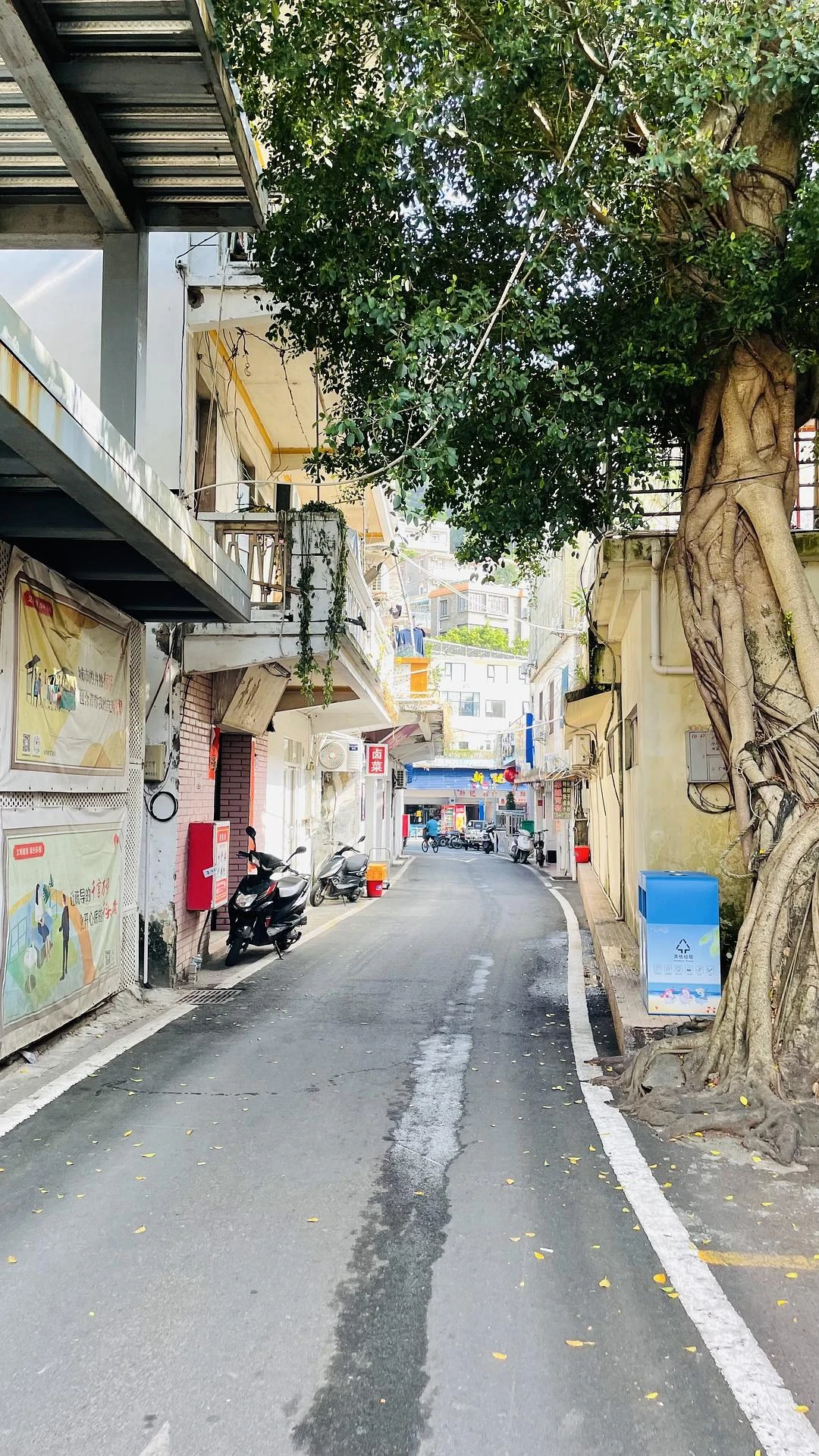po几张桂山岛的随拍📷
不敢想像，要是我生活在 - 图3