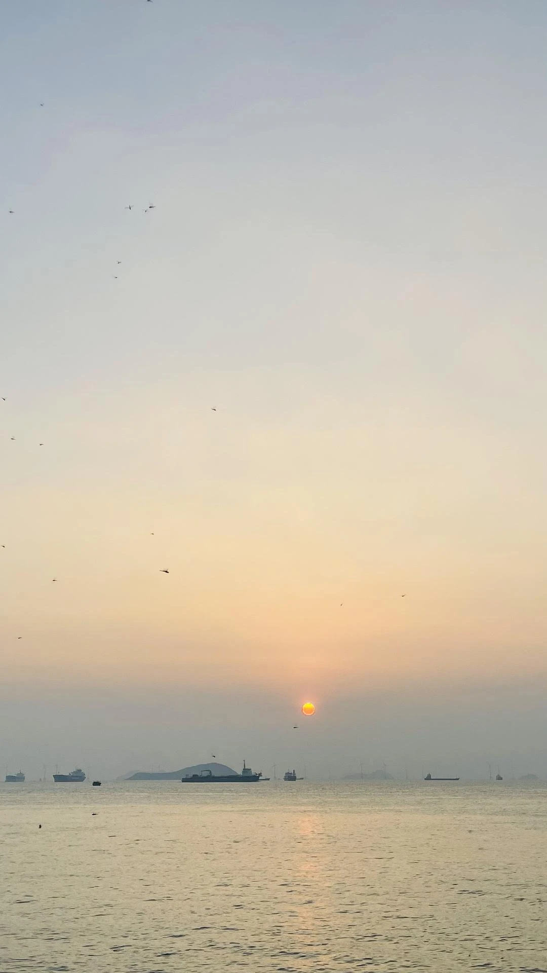 po几张桂山岛的随拍📷
不敢想像，要是我生活在 - 图5