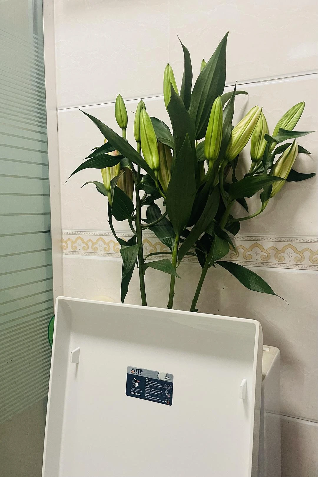 搬离长沙后我就没再买过花，当时把花瓶都送了人。刚 - 图1