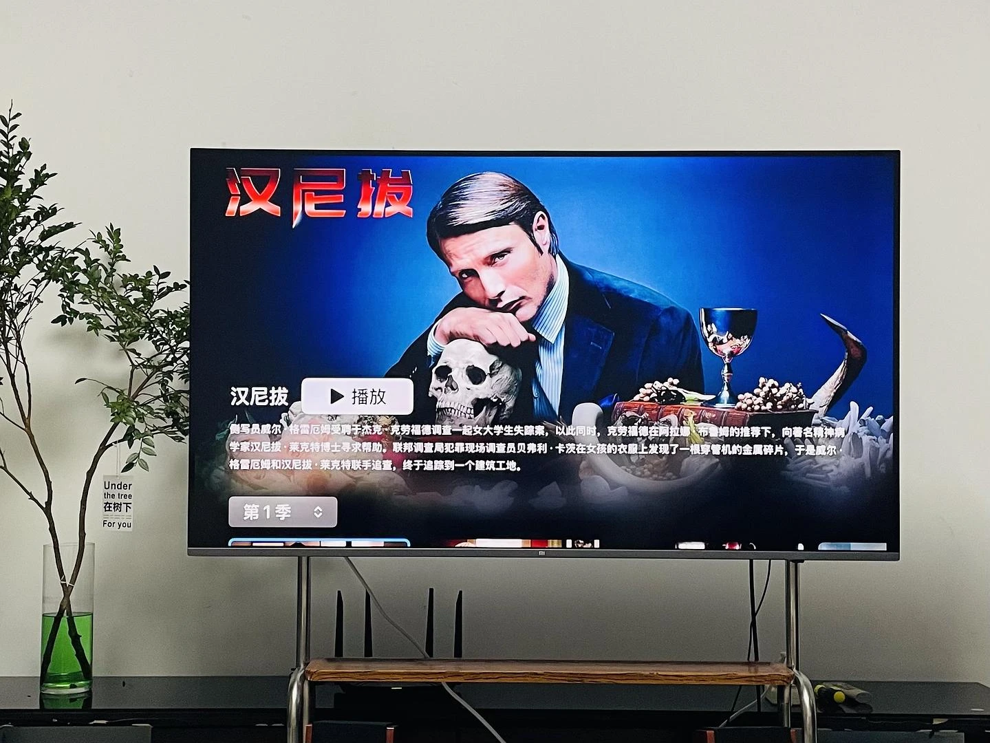 我又开始看拔叔做菜了 - 图1